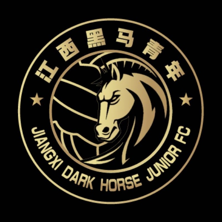  官方：江西黑馬青年完成異地遷移程序，更名為溫州職業(yè)足球俱樂部